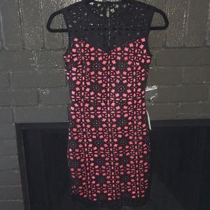 B. Darlin Pink & Black (lace) Dress